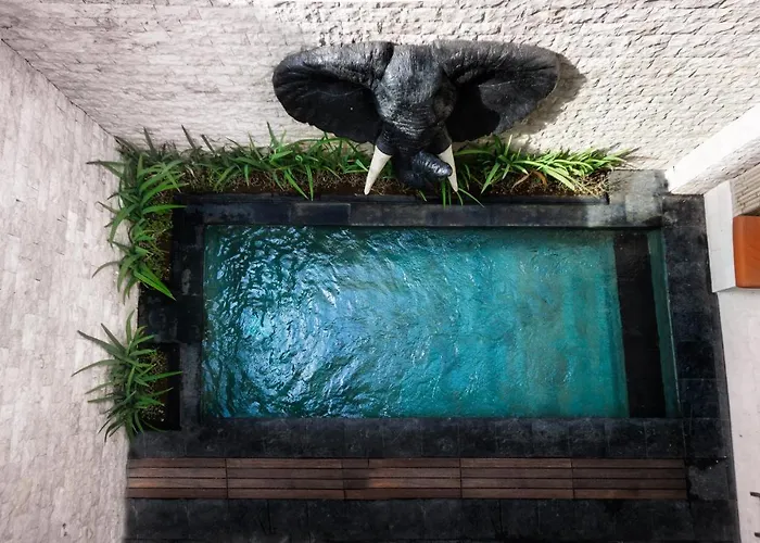 Colibri * Sanur